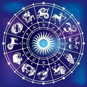 vedic astrology service 500x500 1 11zon